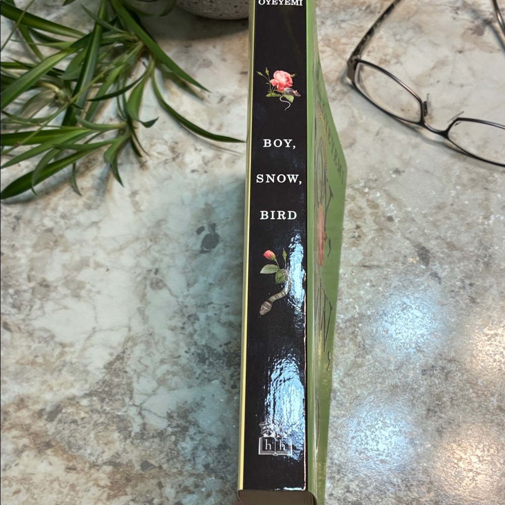 Boy, Snow, Bird Novel by Helen Oyeyemi; Fiction; African American; Literature - Picture 4 of 5